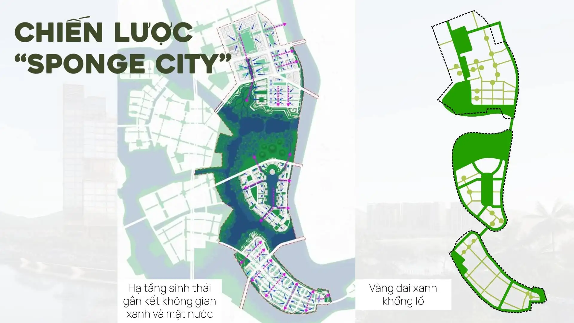 Dấu ấn quy hoạch Sponge City tại Charmora City