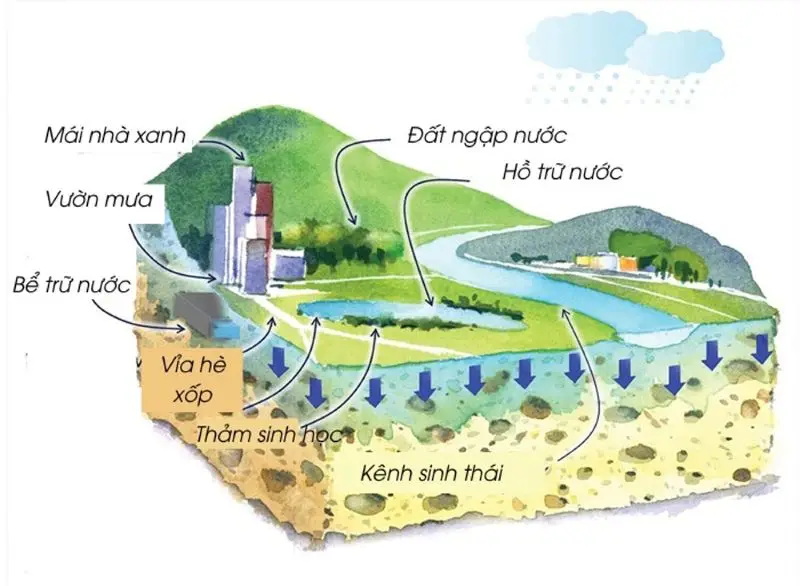 Sơ đồ vận hành mô hình đô thị bọt biển Nha Trang tại Charmora City